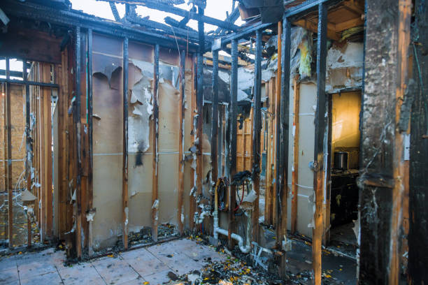Professional Fire Damage Removal technician working in Timberville, VA
